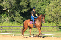 Wendy Reslewic 135